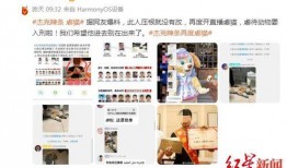 猫之城最新爆料吧网站,揭秘神秘猫界秘闻