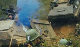 在线观看蓝军,揭秘在线观看的军事题材巨作